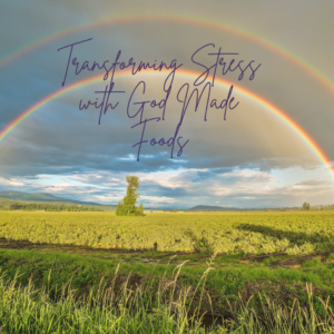 Read more about the article Transforming Stress with God-Made Foods