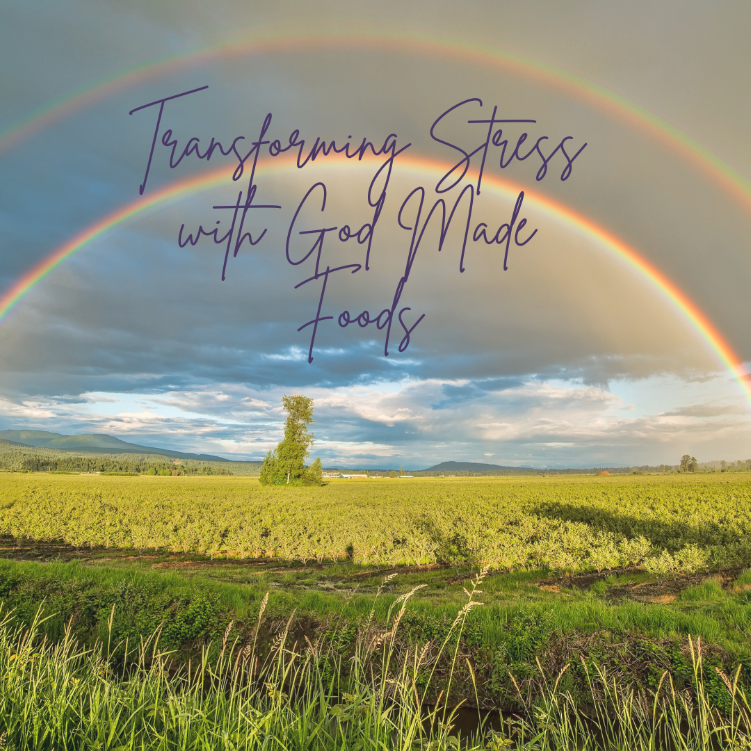 You are currently viewing Transforming Stress with God-Made Foods