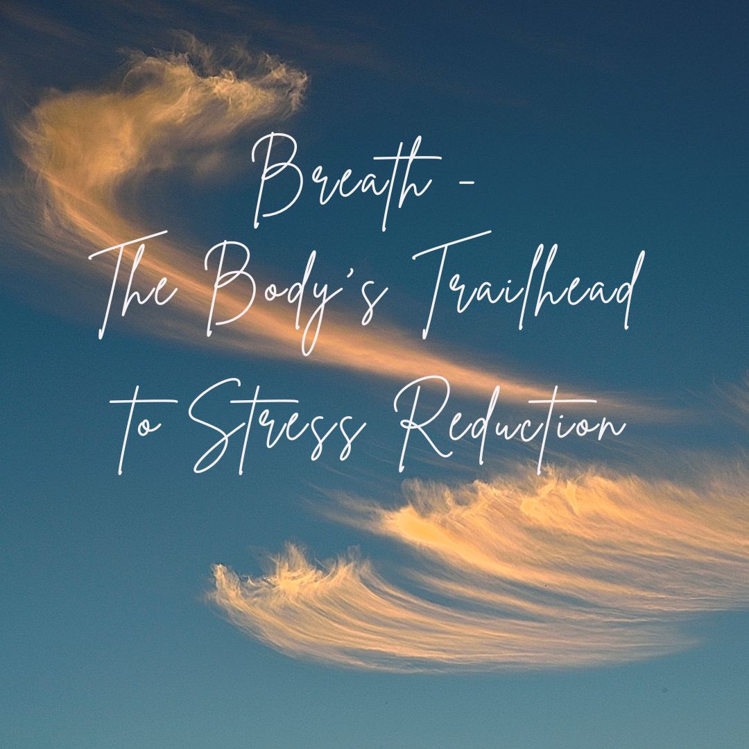 You are currently viewing Breath – the Body’s Trailhead to Stress Reduction