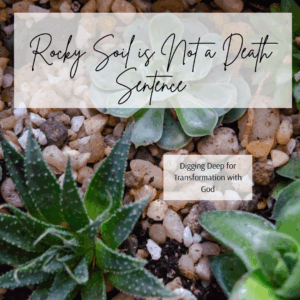 Read more about the article Rocky Soil Is Not a Death Sentence
