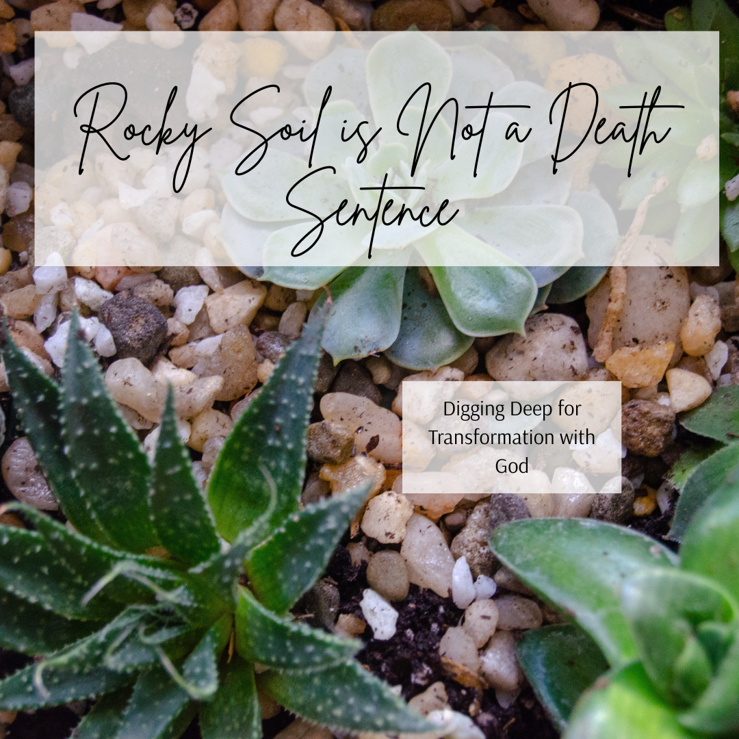 You are currently viewing Rocky Soil Is Not a Death Sentence